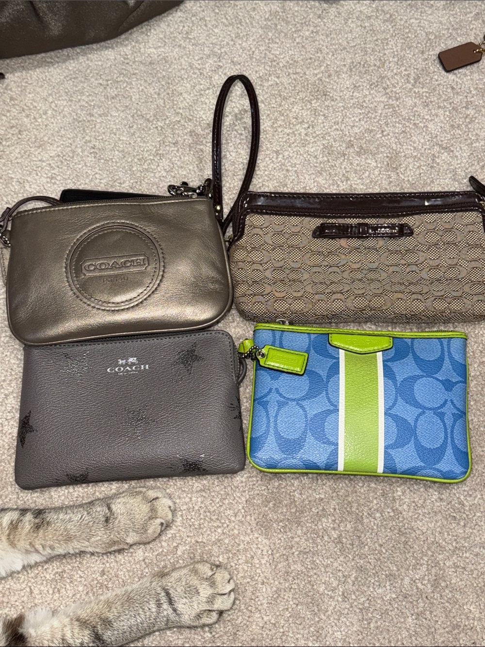 Pick 1: COACH Metallic Bronze, Brown, Gray Star OR Blue/LimeWristlet